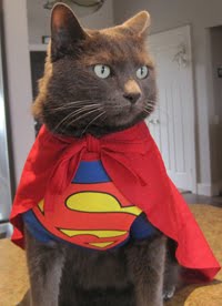 CALL ON SUPER CLOON...IF SOMEONE STEALS YOUR NUM-NUMS!