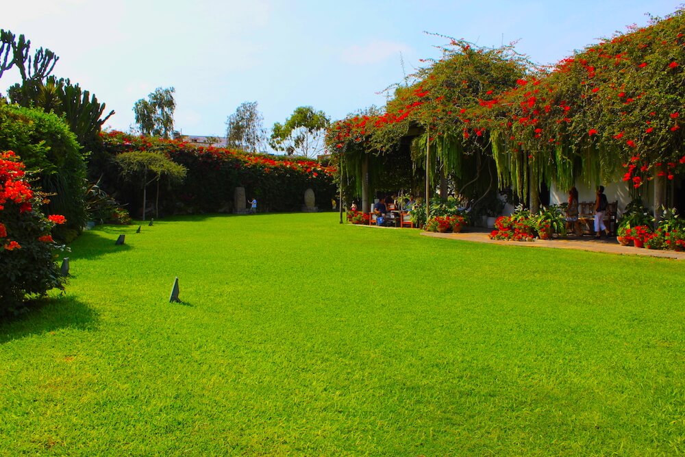 museo larco green gardens