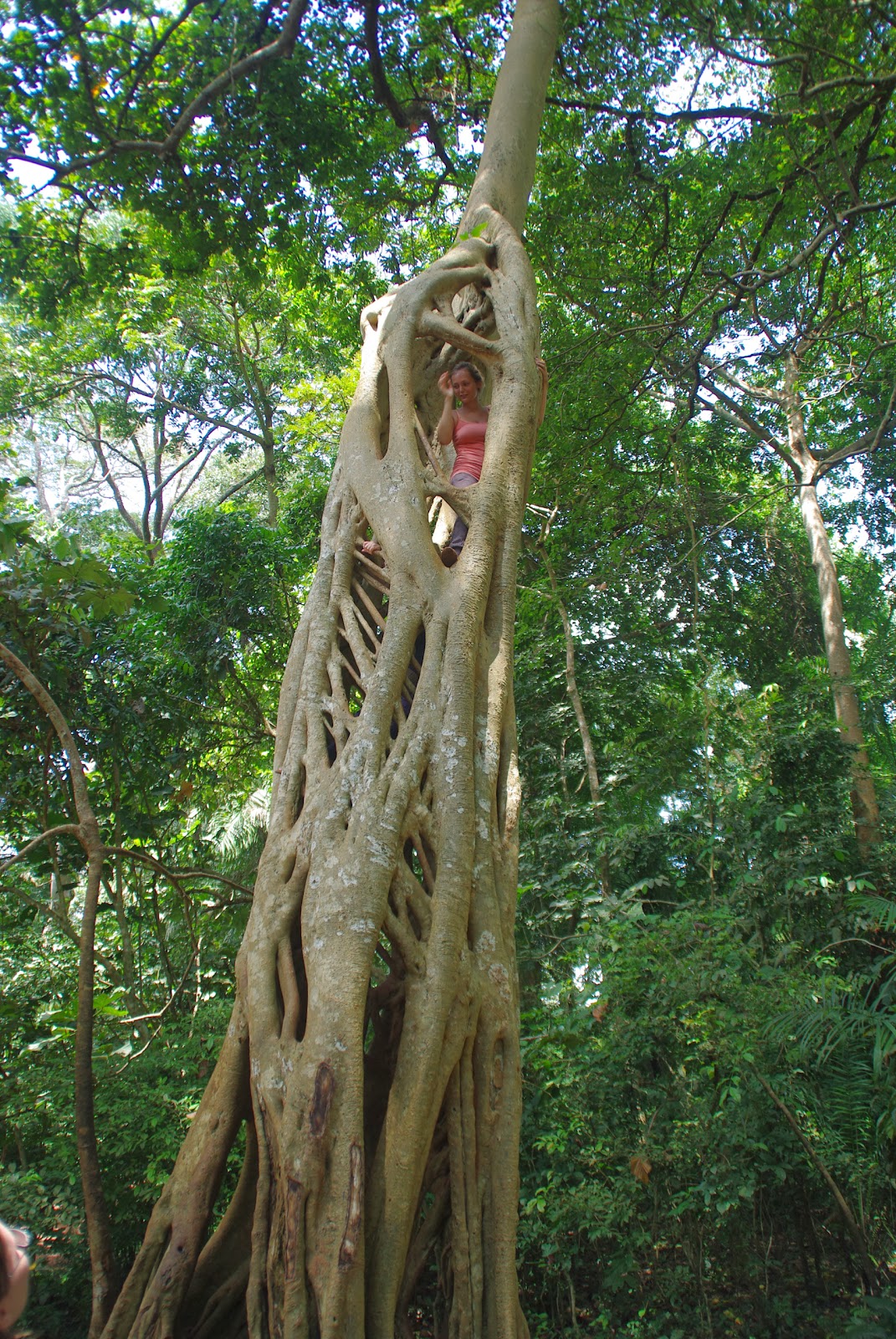 Plewsi in Ghana Buabeng Fiema