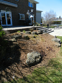 Toronto Etobicoke  spring garden cleanup after by Paul Jung Gardening Services Inc