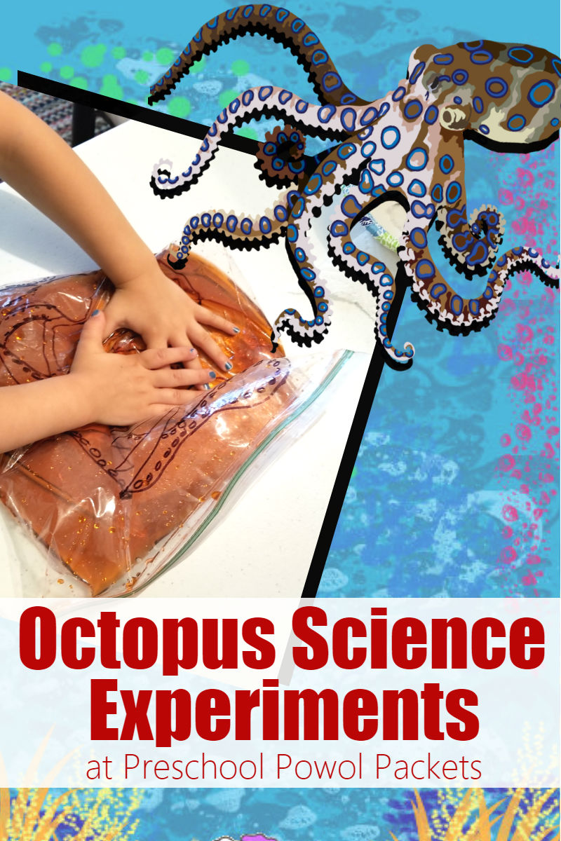 Octopus Facts For Preschoolers