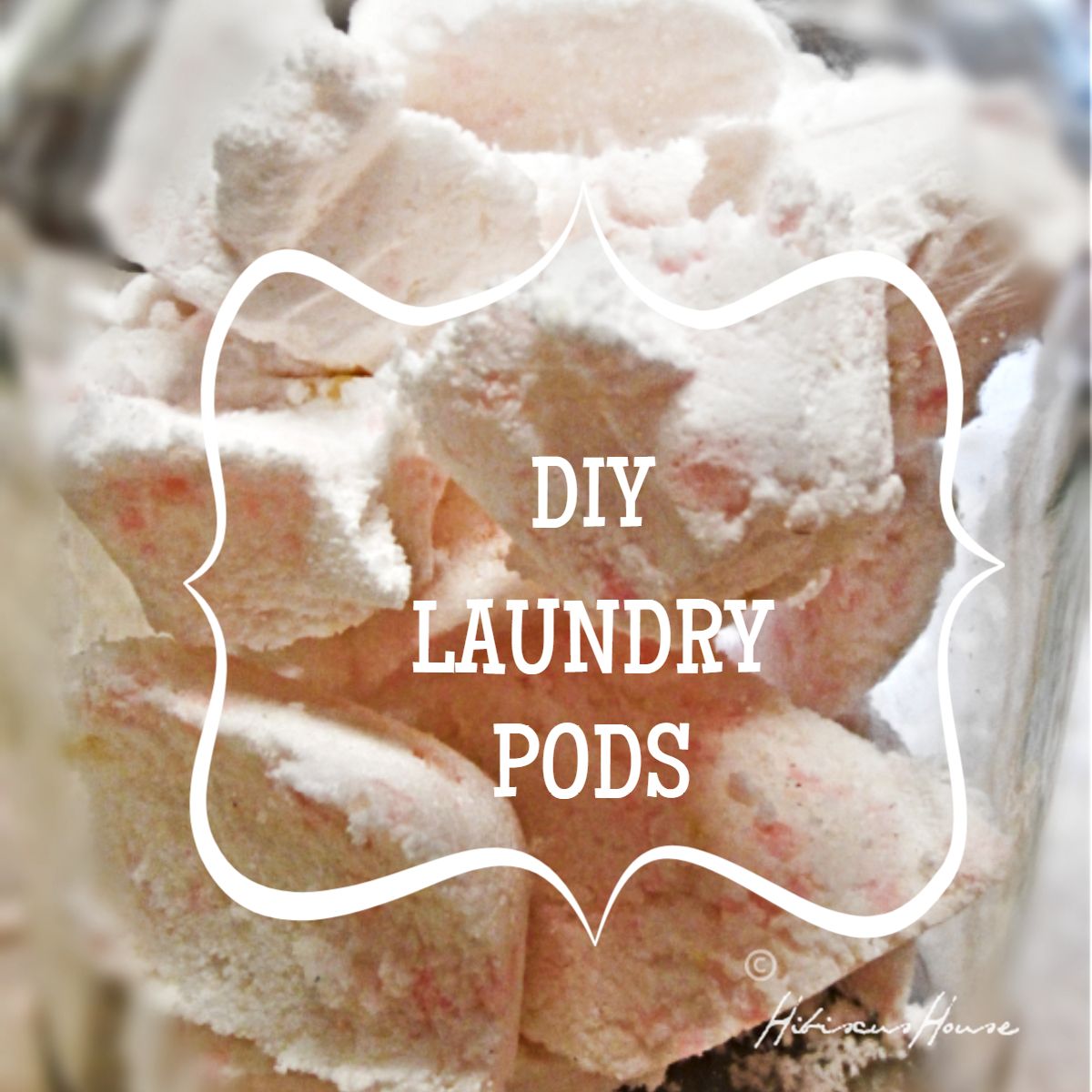 Hibiscus House DIY LAUNDRY POWDER PODS