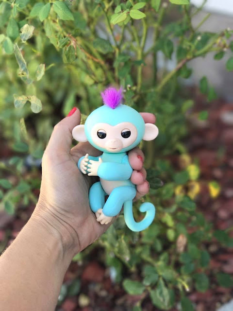 This Cute Little Fingerling Monkeys Comes In Six Different Colors Each With Names Personalities These FINGERLINGS Were This Cute Little Fingerling Monkeys Comes In Six Different Colors Each With Names Personalities These FINGERLINGS Were