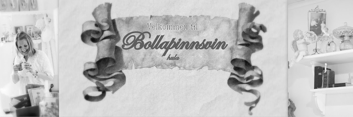 VELKOMMEN TIL BOLLAPINNSVINHULA