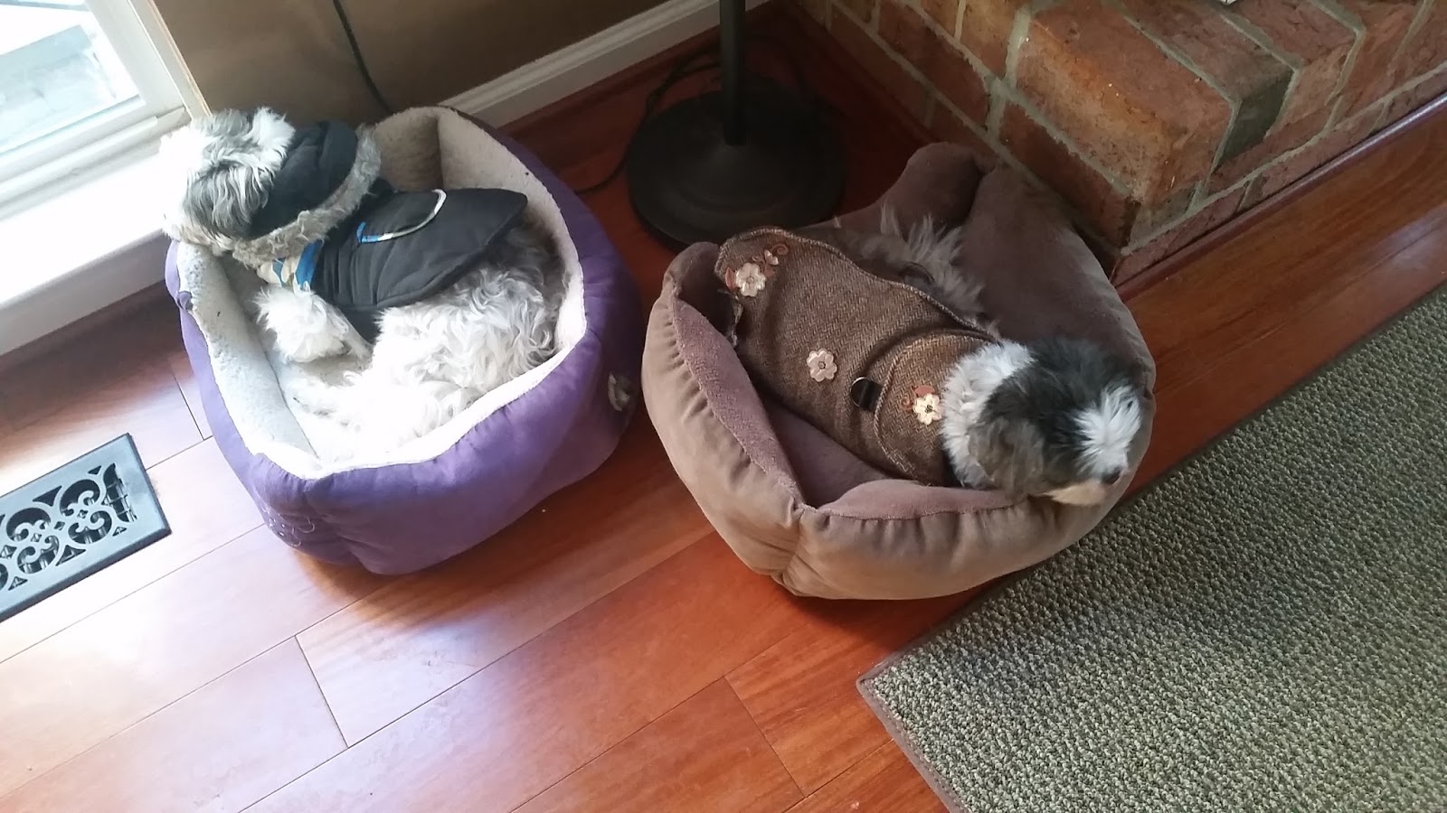 Butterick B4885 Doggie Coat Part I