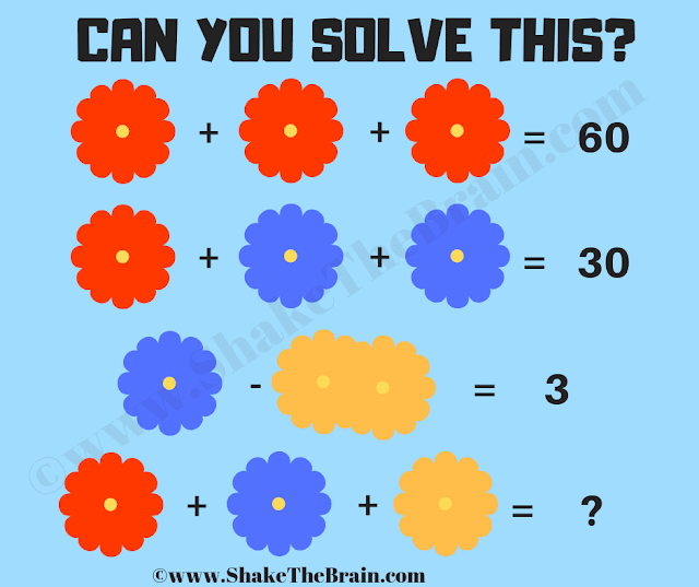 Math Brain Teaser: Flowers Picture Puzzle