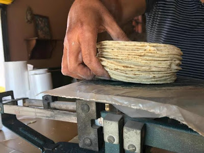 Tortilleros de Navojoa se sienten "ahogados" por incremento de precio