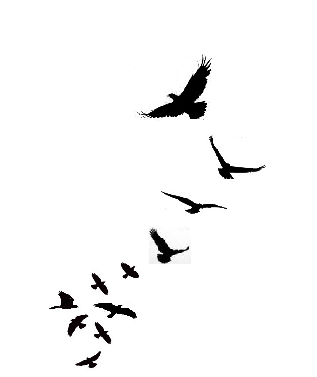 my_tattoo_design___free_bird_by_nimrodv-d4imngw.jpg
