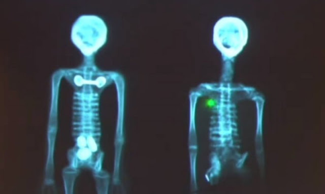 Momias encontradas en Perú sí son extraterrestres, dicen científicos.