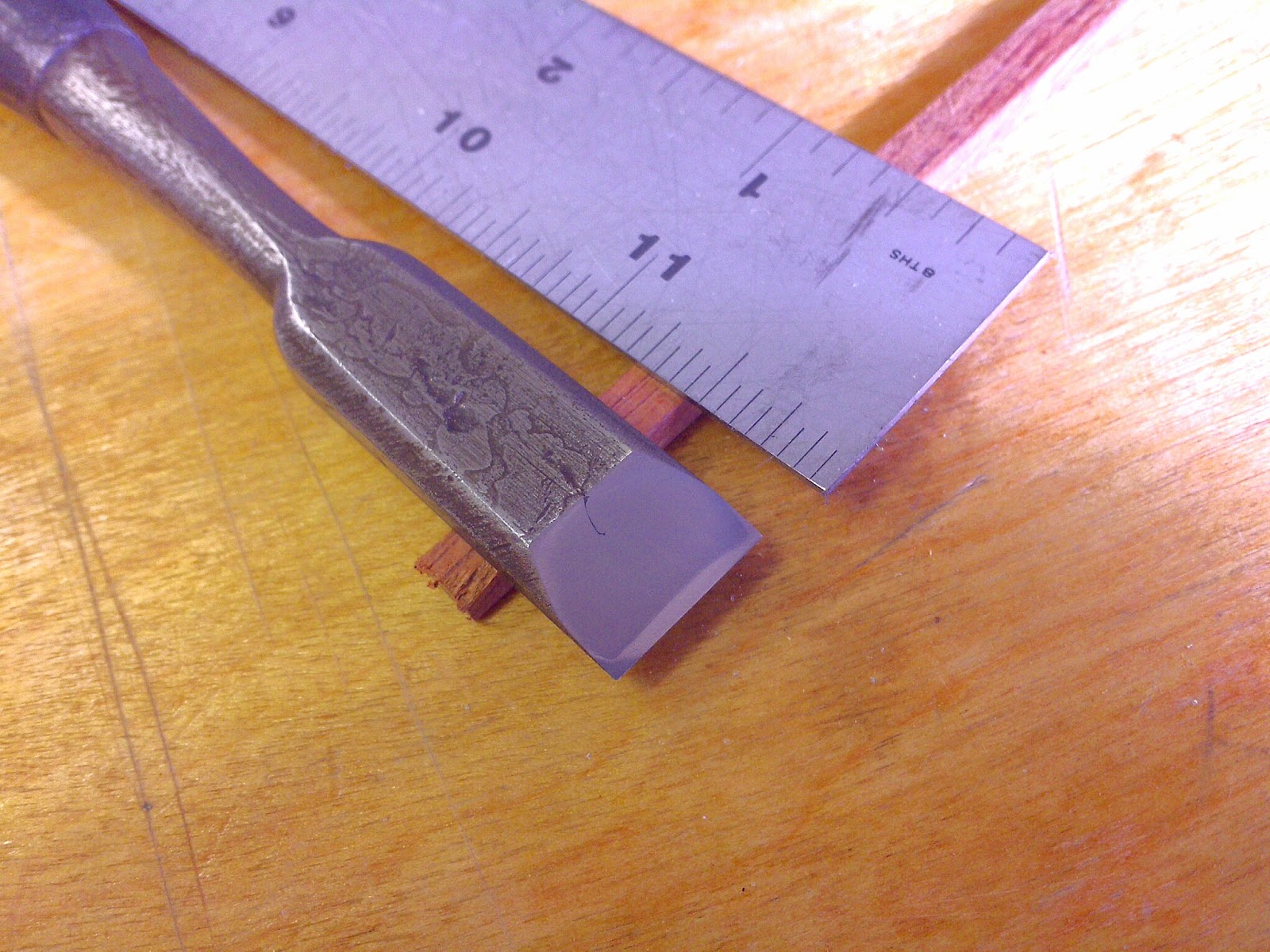 My peculiar nature Chisel rehab/therapy