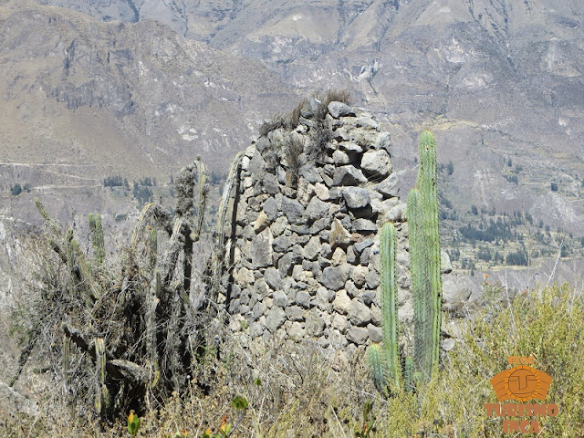 Ruinas de Tiknay cotahuasi