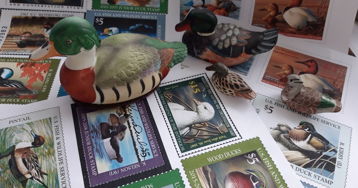 Fasters korthus Duck Stamps my journal page and duck collection