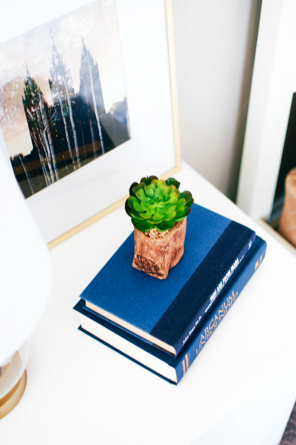 Books and a succulent are great modern bedroom decor ideas