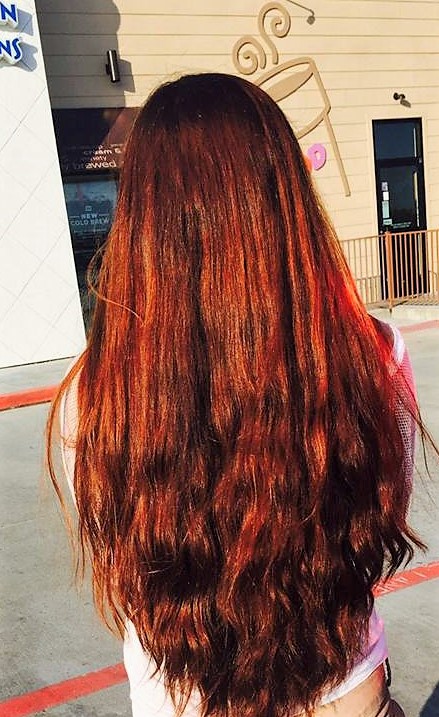 Vivulicious Lit Secrets Of My Long And Thick Hair Hair Routine