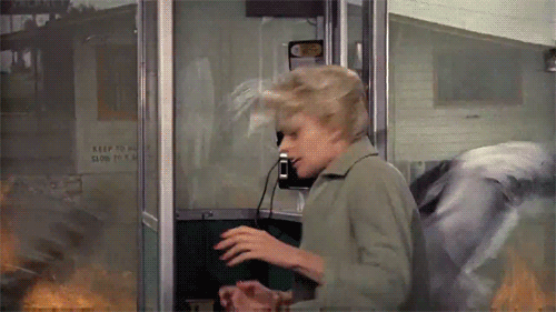 tumblr_mc99uauHUR1qke7z9o2_500.gif
