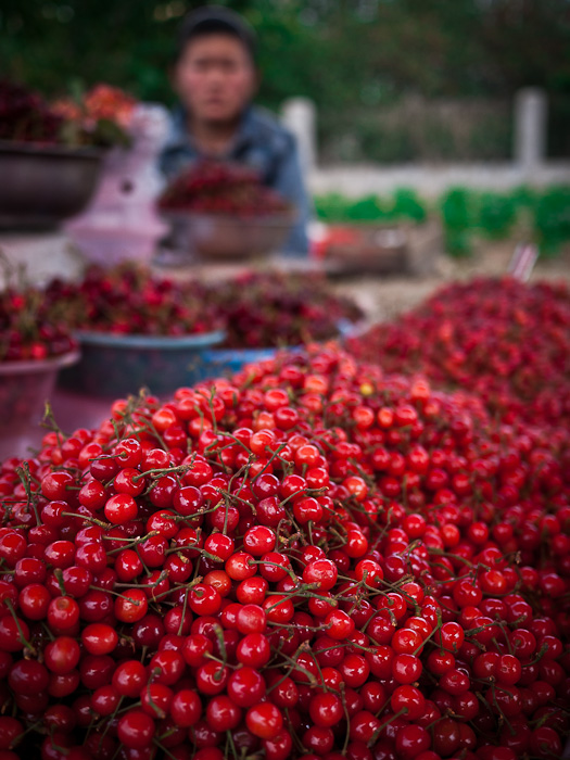 'red sale' • lao shan, china    © marc montebello all rights reserved