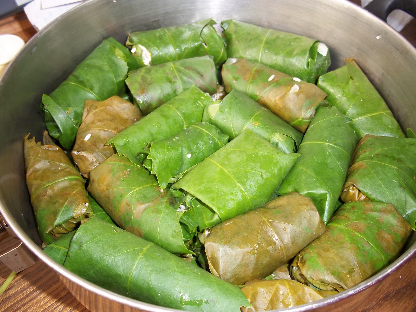 Armenian Stuffed Grape Leaves Recipe Frugal, Vegan Foraged Food
