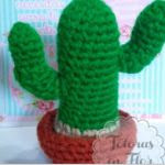 http://www.patronesamigurumi.org/patrones-gratuitos/otros-patrones/cactus-cardon/