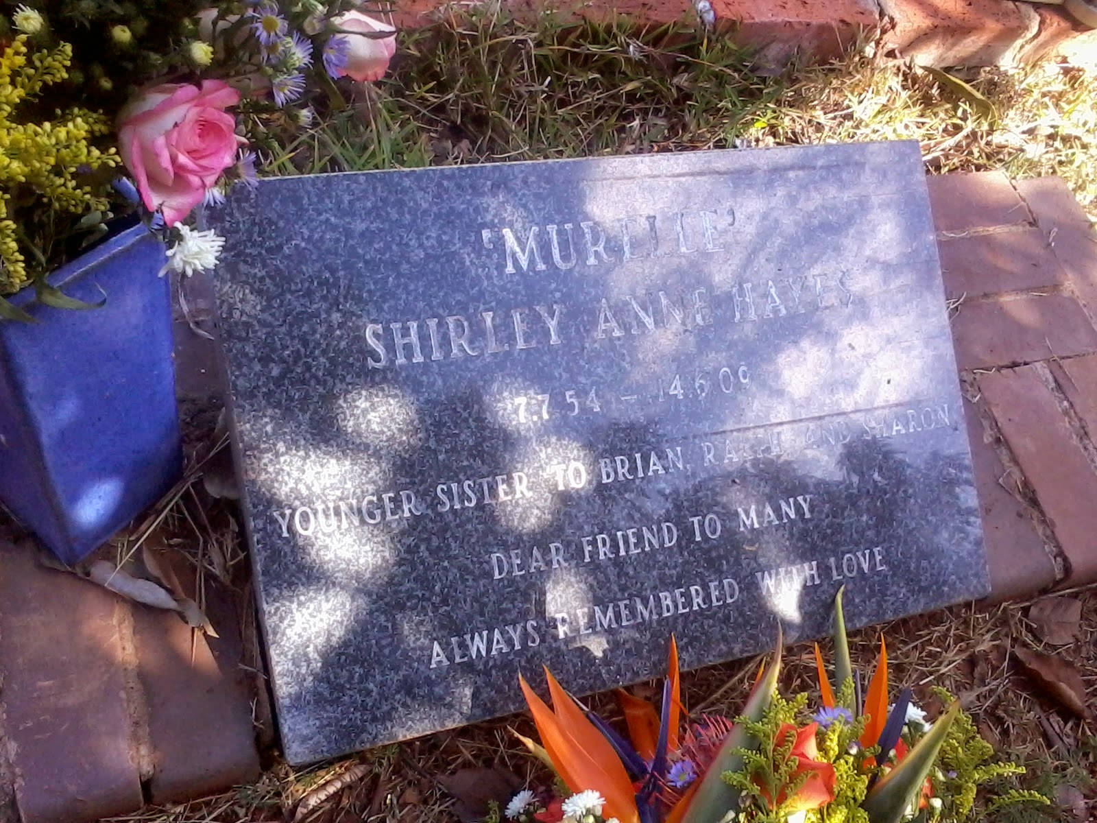 Harare Confidential Picnic at Glen Forest Memorial Park