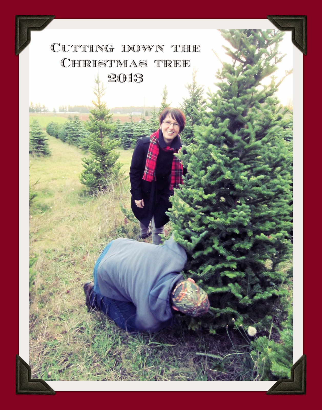 Cutting Down the 2013 Christmas Tree