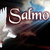 SALMO 11 – REFÚGIO EM TEMPOS DE PERIGO