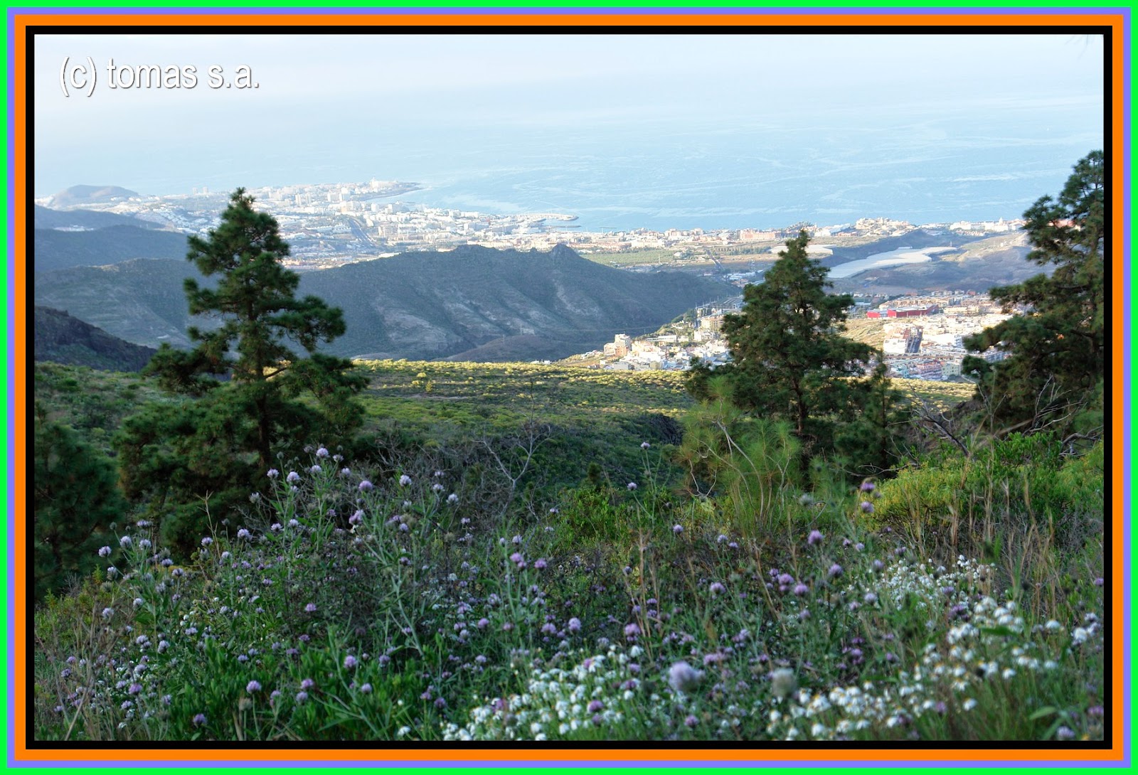 Tenerife senderos......: marzo 2014