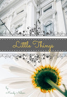 Little Things book cover mock up2