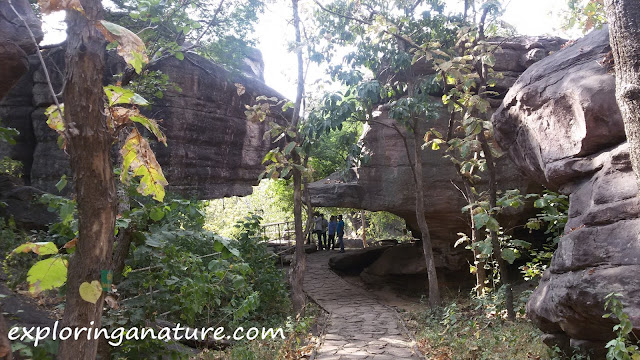 Bhimbetka- The Rock Shelters