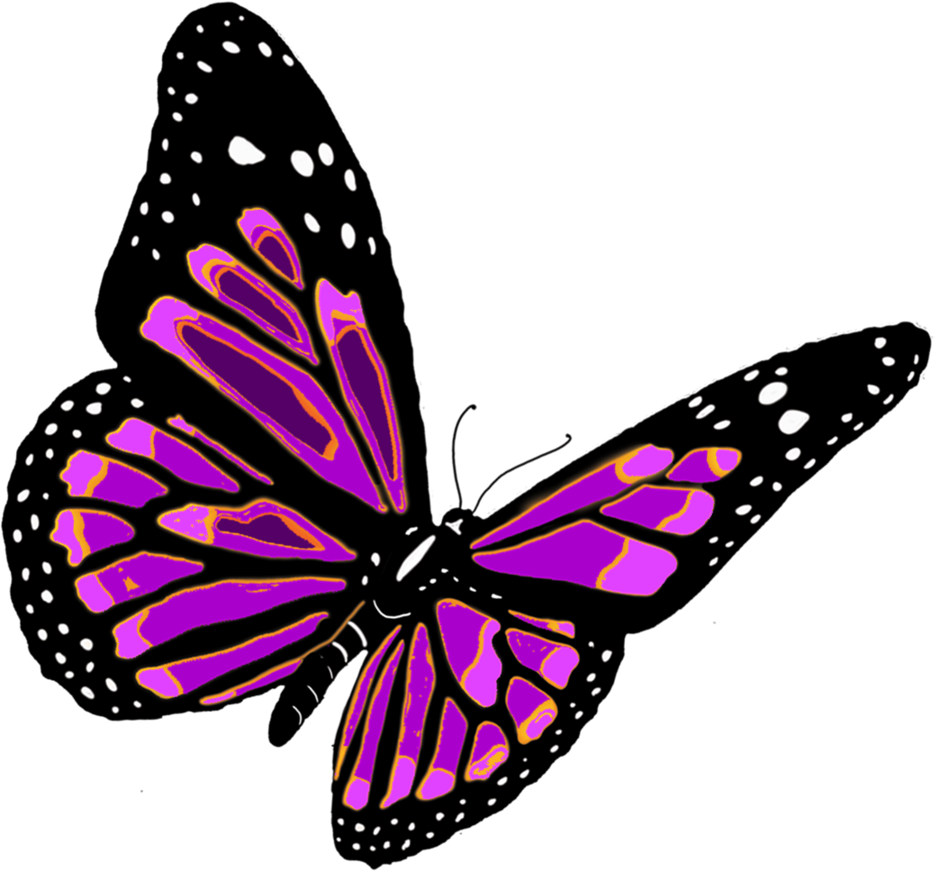 Ethan Creation 2016 Butterflies Png Gambar Kupu Format