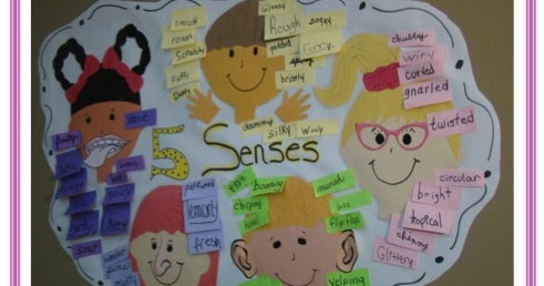 A Full Classroom: Using Our Senses