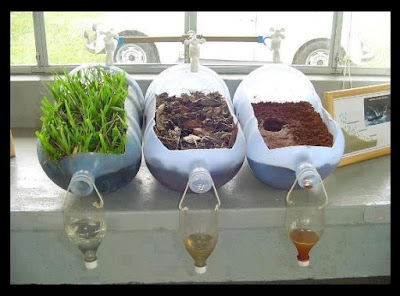 Ini Alasan Sederhana Mengapa Tidak Boleh Menebang Pohon Ini Alasan Sederhana Mengapa Tidak Boleh Menebang Pohon