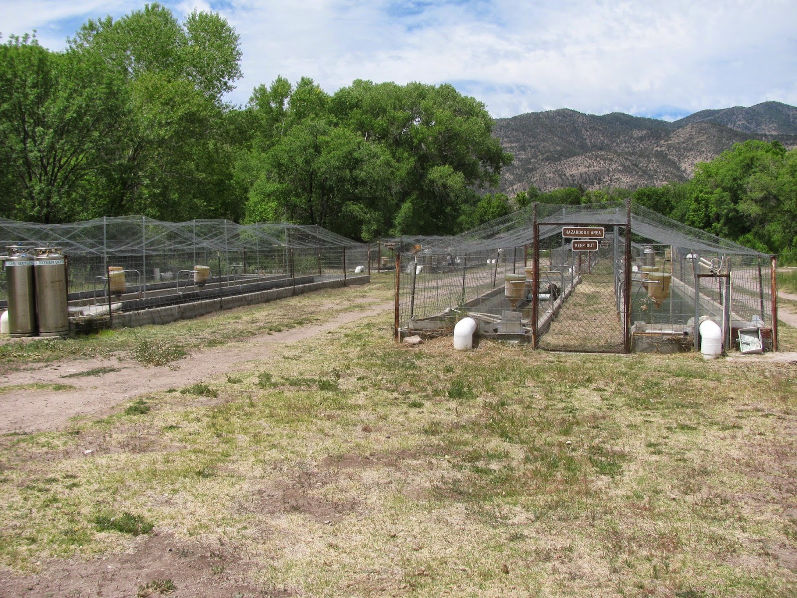 Backyard Excursions Glenwood Fish Hatchery