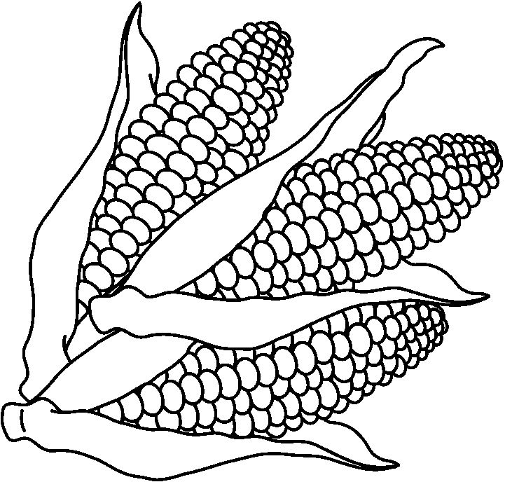 ears of corn coloring pages - photo #19