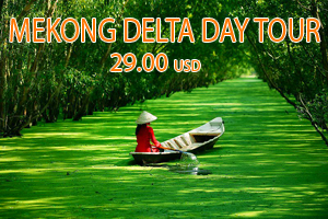 Mekong Delta Day Tour