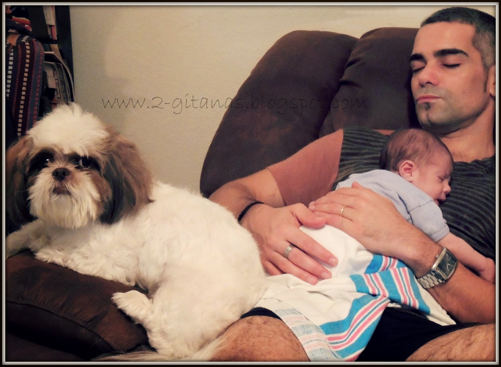 GITANAS: How to make your baby and dog love each other