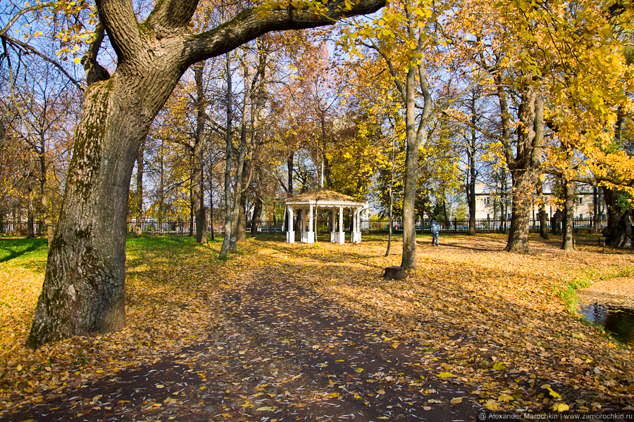 Пушкин в роще. Роща пушкин. Пушкинская роща арзамас. Роща пушкин. Пушкин в роще.