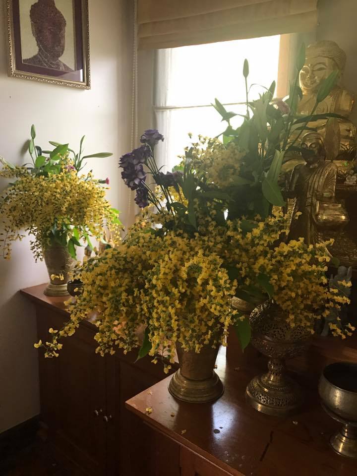 Eaindra Kyaw Zin Happy Time To See Paduak Flowers