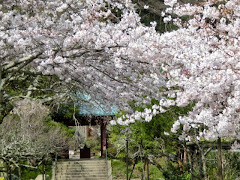 �������̍�