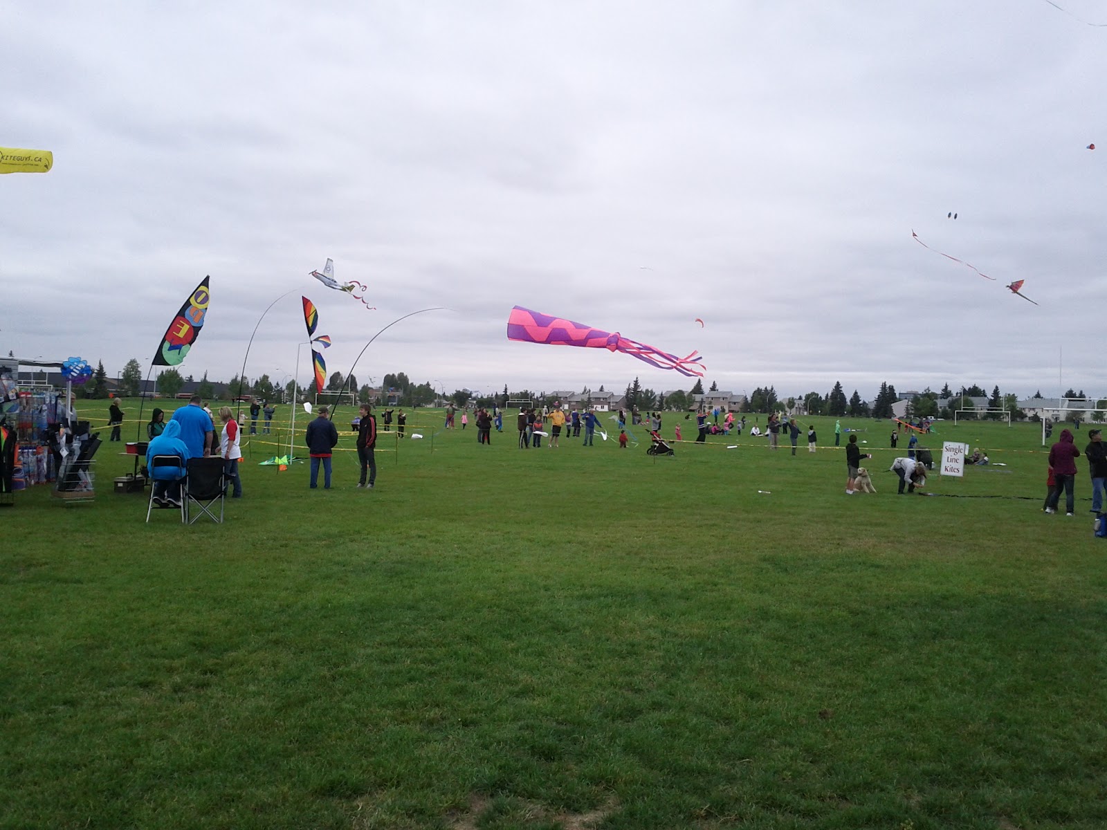 Family Fun Adventures in Edmonton Kites Over Callingwood Edmonton Kite Festival!