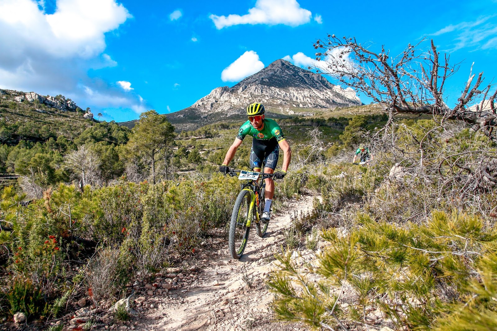 scott mtb team