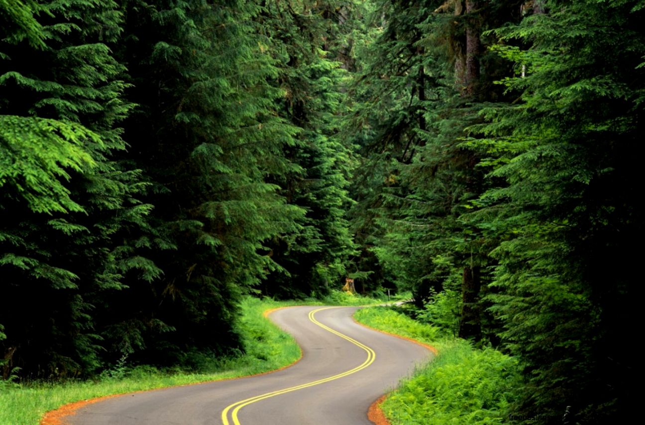 Beautiful Images of Nature