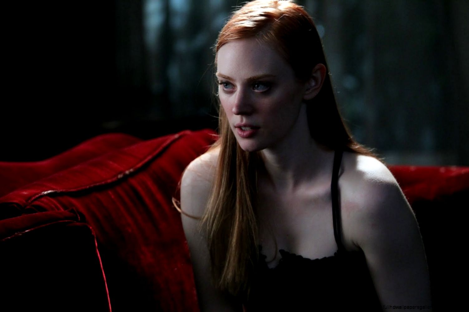 TV Show True Blood Wallpapers  HD Wallpapers Pictures