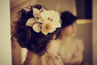 ������ ���� ������ �� ���� ������