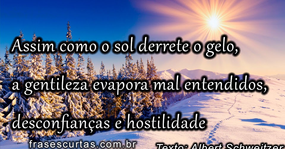 classificados do dia