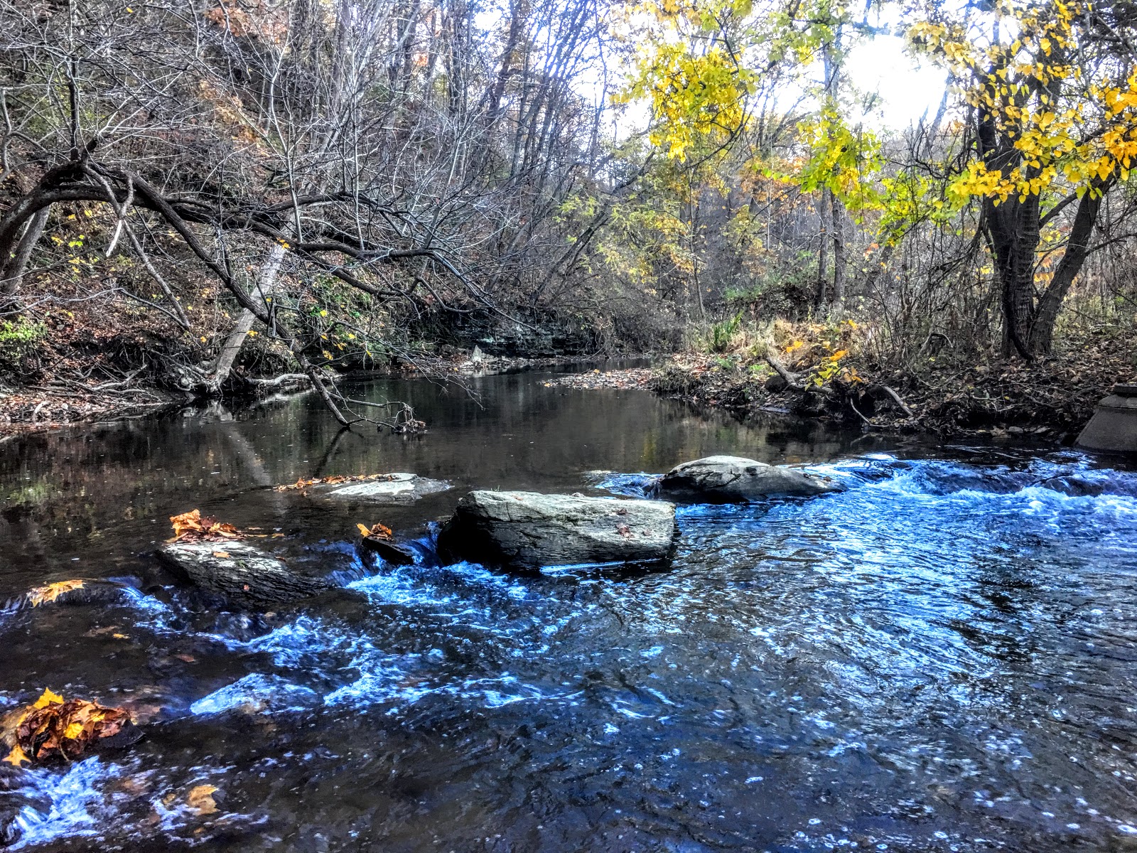 Walkabout on Pine Creek in Pittsburgh, Pennsylvania