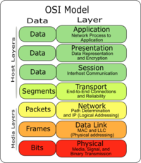 Model OSI dan TCP/IP