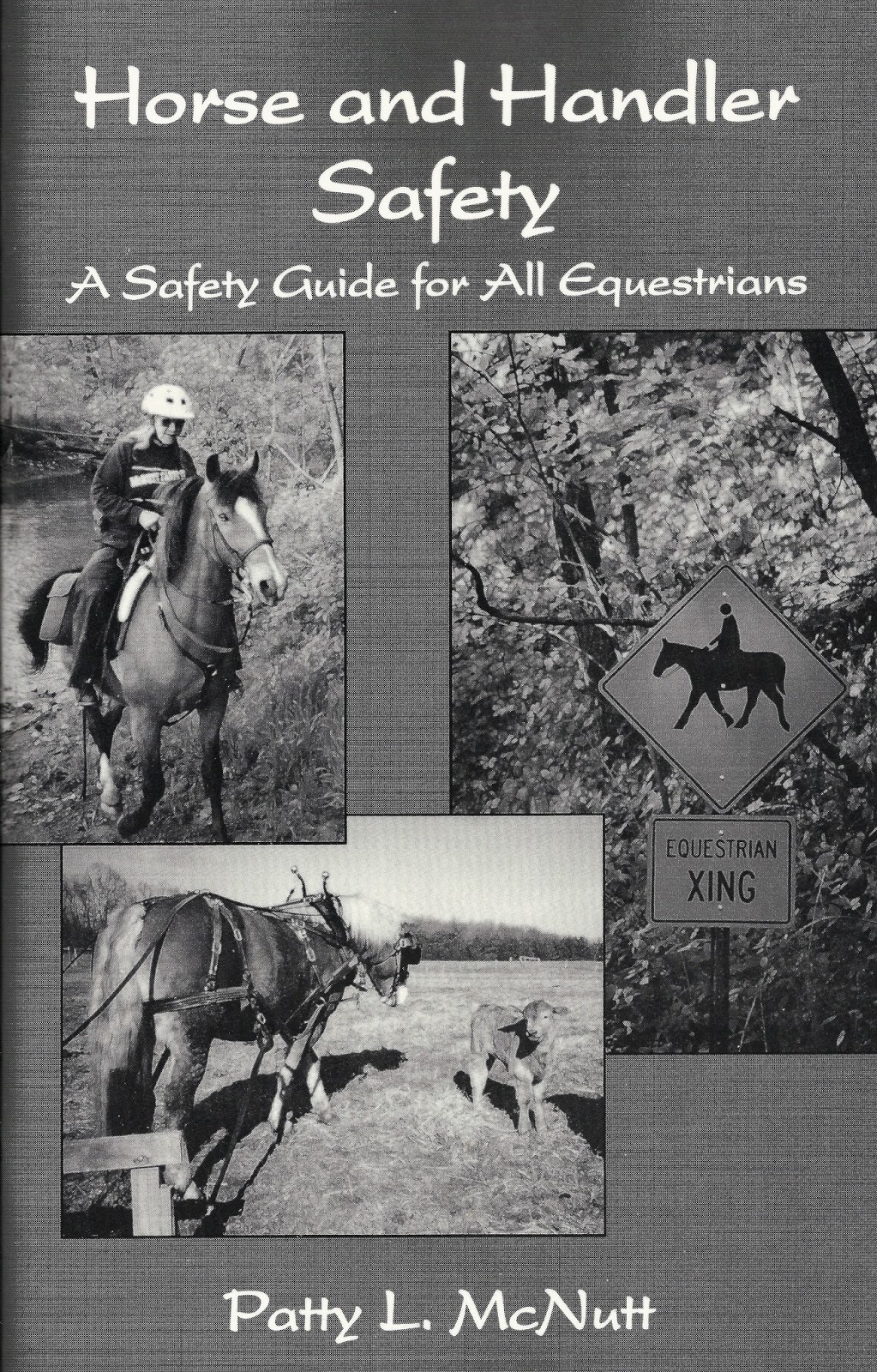 Riding & Writing... Horse and Handler Safety A Safety Guide for All
