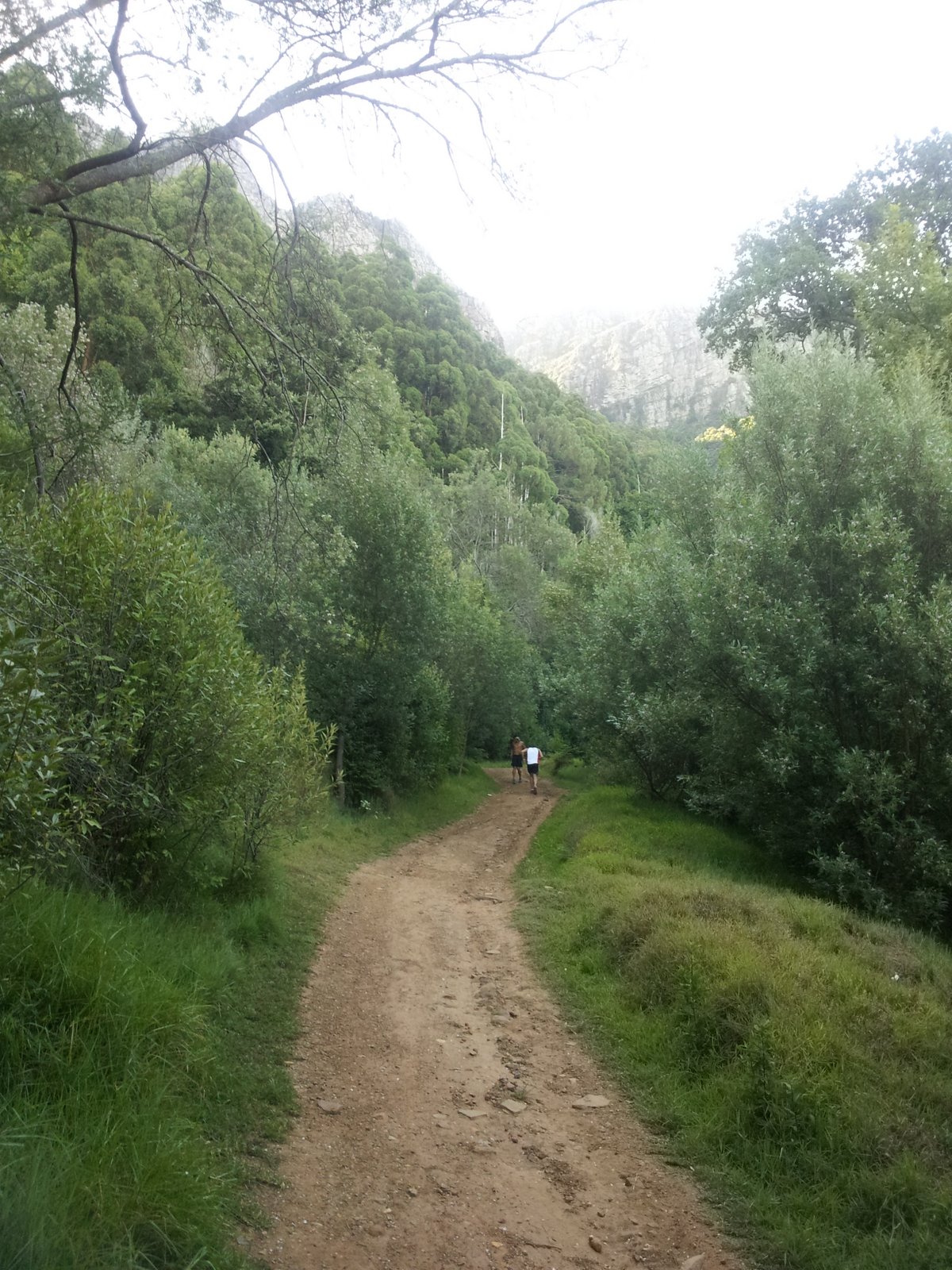 Plum Pudding Hill Trail Run