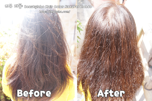 before after review beautylabo hair color