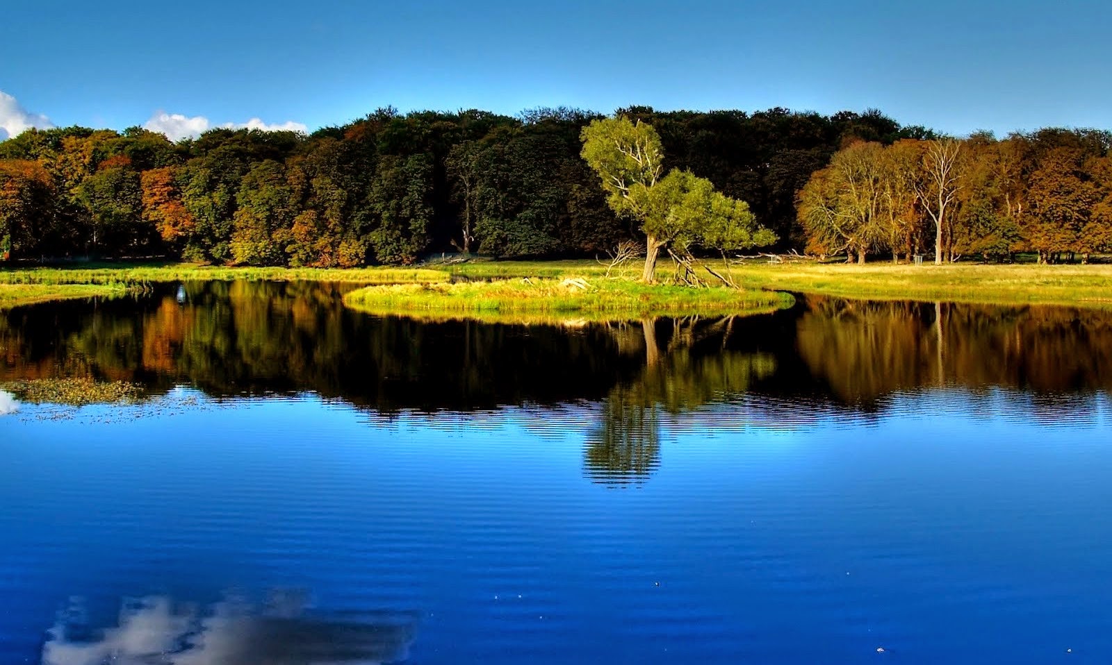 HD Wallpapers : Awesome Nature HD Wallpaper